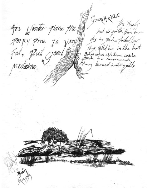 Buninj Boothrum (Echidna Dreaming)