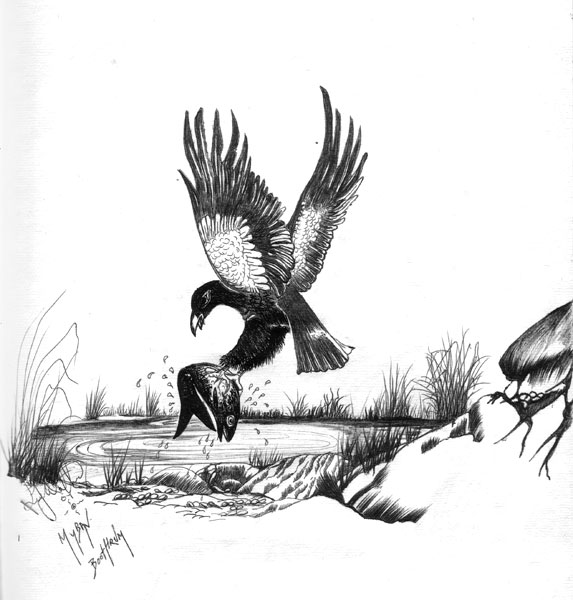 Myban Boothrum (Eagle Dreaming)