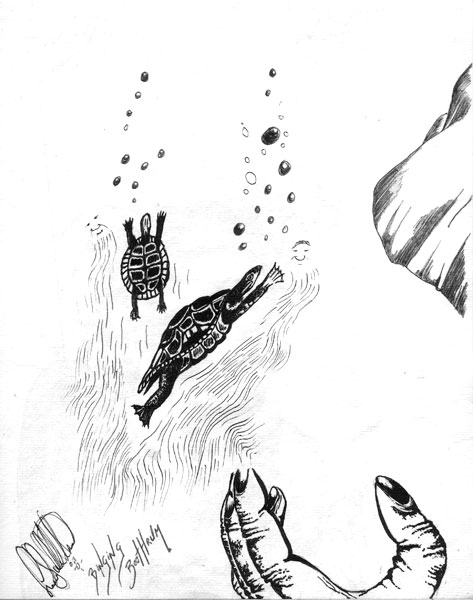 Binging Boothrum (Turtle Dreaming)