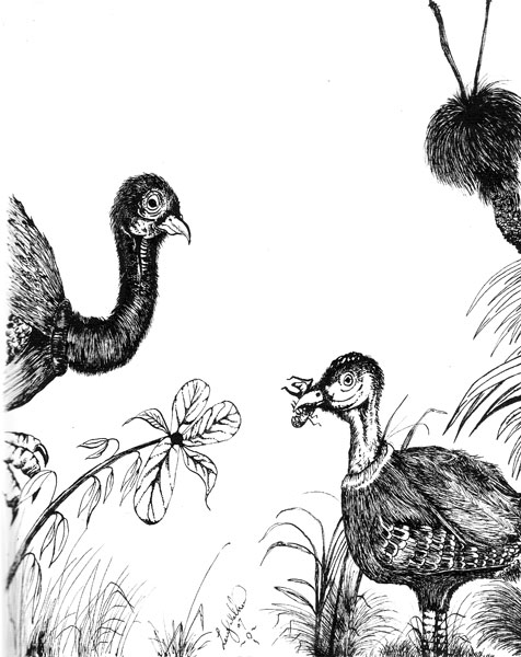 Googi Boothrum (Turkey Dreaming)