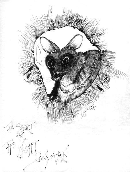 Gwyarn Boothrum (Possum Dreaming)